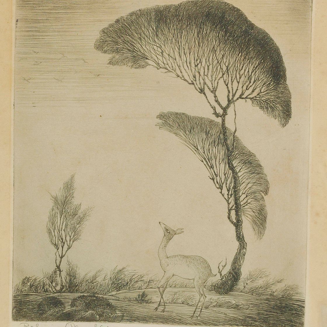 Abdur Rahman Chughtai — Без названия (Олень под деревом)