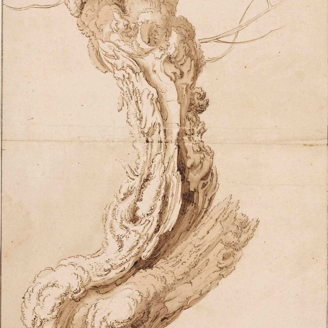 Abraham Bloemaert — Ива