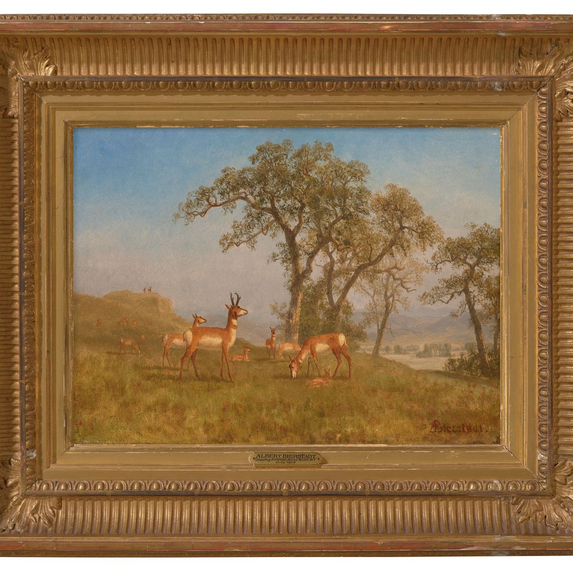 Albert Bierstadt — Пасущаяся антилопа, изображение 2