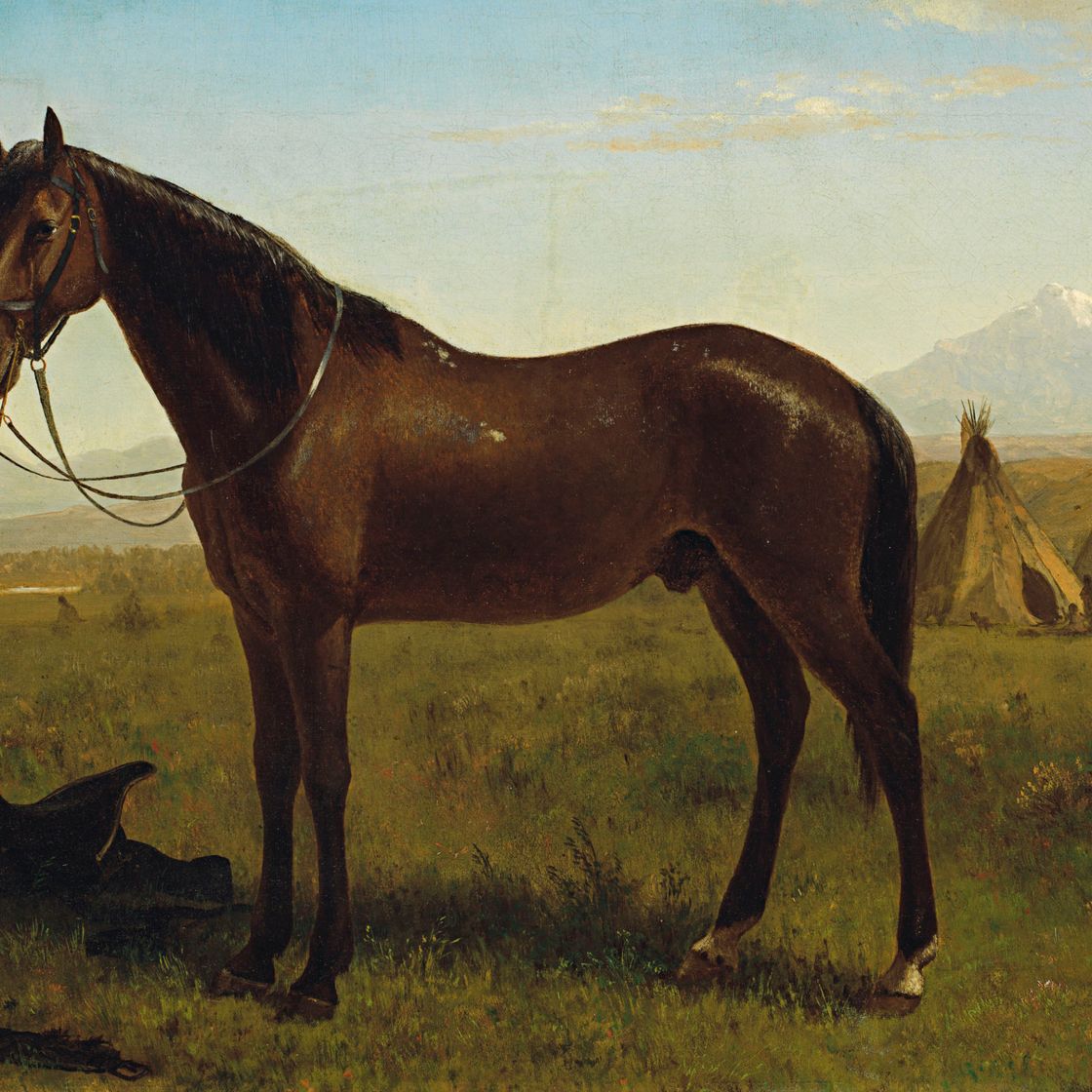 Albert Bierstadt — Лошадь в индейском лагере