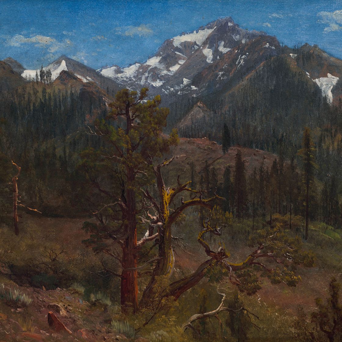 Albert Bierstadt — Вид недалеко от Силвер-Сити, Сьерра-Невада, Калифорния