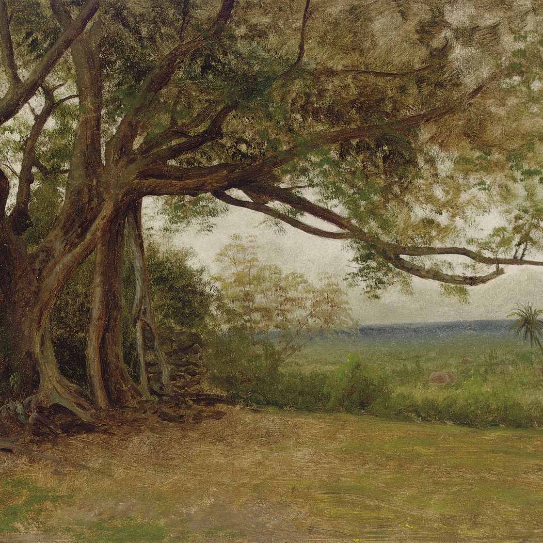 Albert Bierstadt — Этюд к "Высадке Колумба"