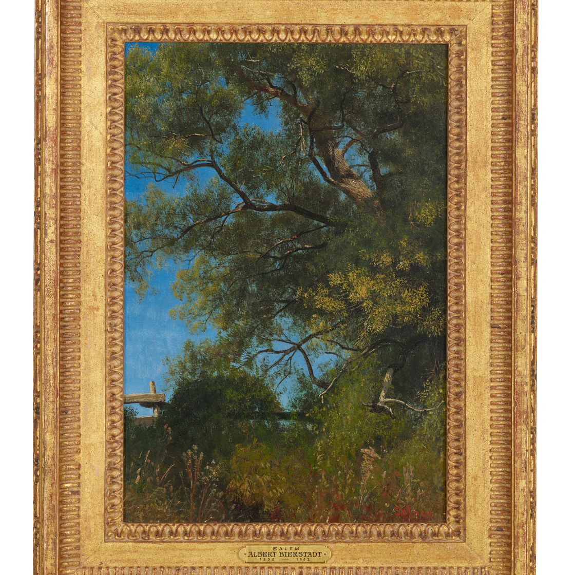 Albert Bierstadt — Салем, штат Орегон, изображение 2