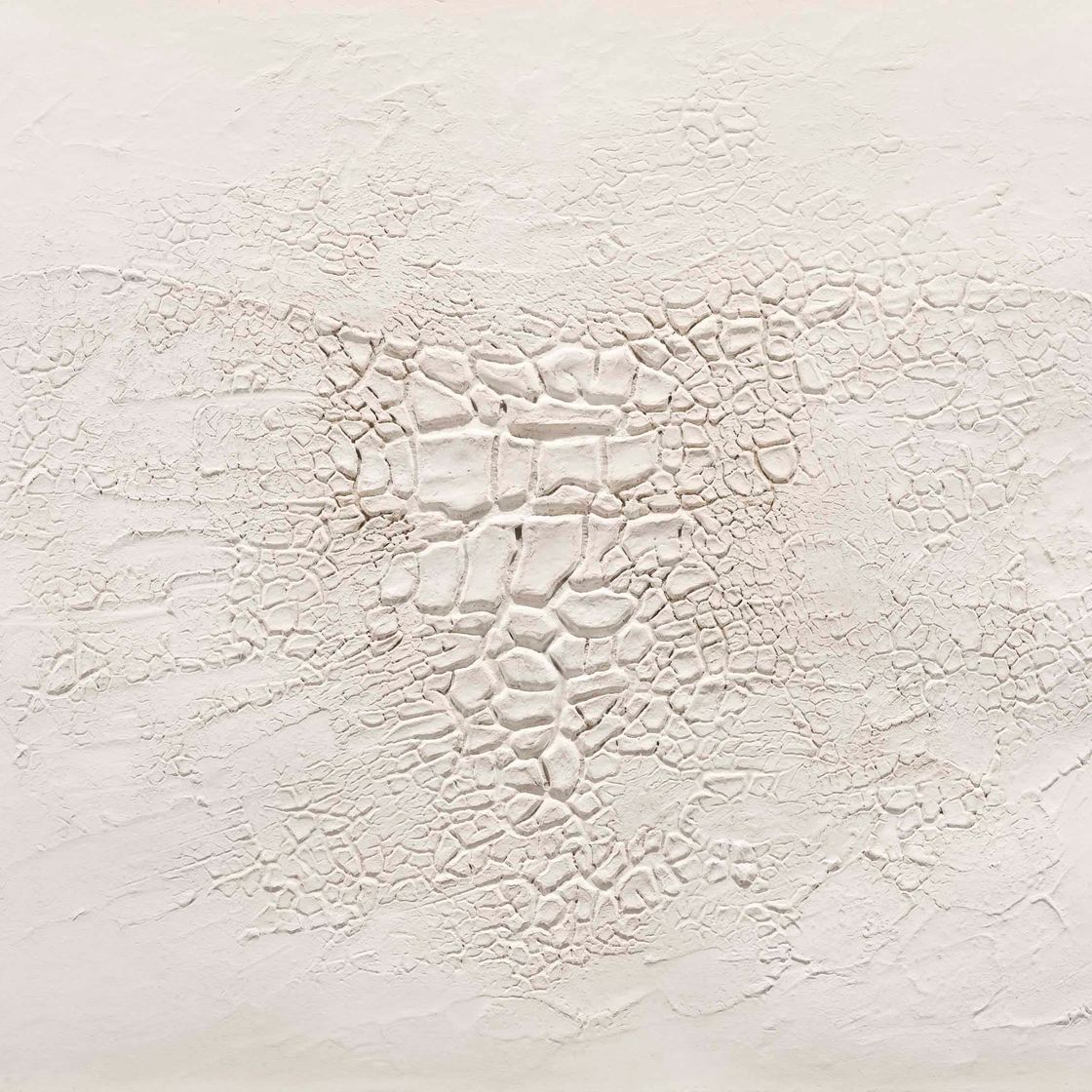 Alberto Burri — Кретто бьянко