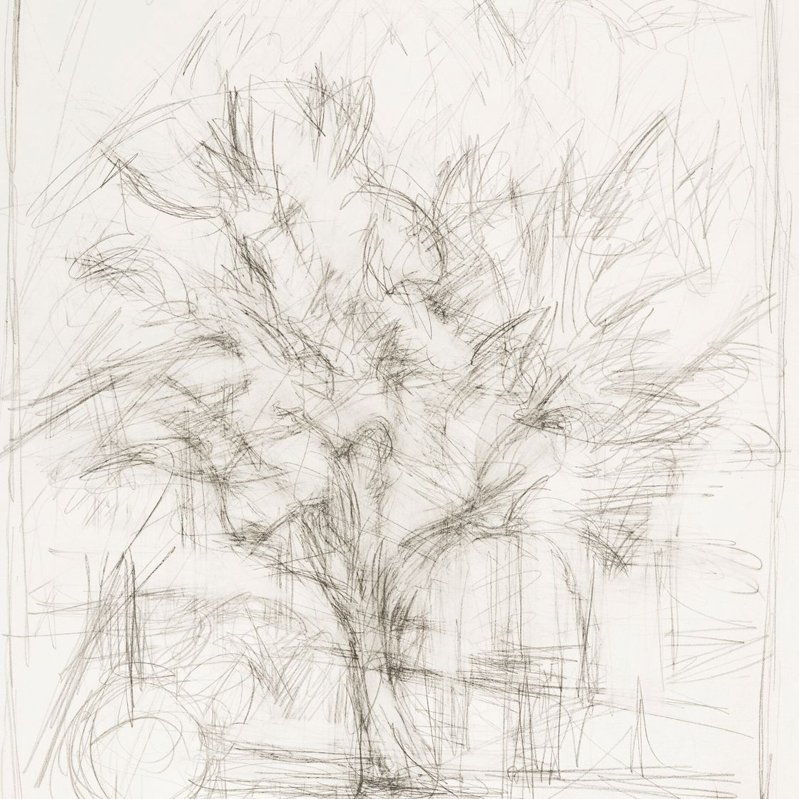 Alberto Giacometti — Дерево в штампе, изображение 1