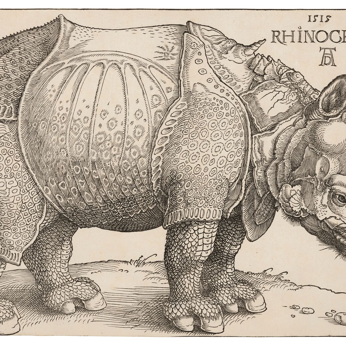 Albrecht Dürer — Носорог, изображение 1