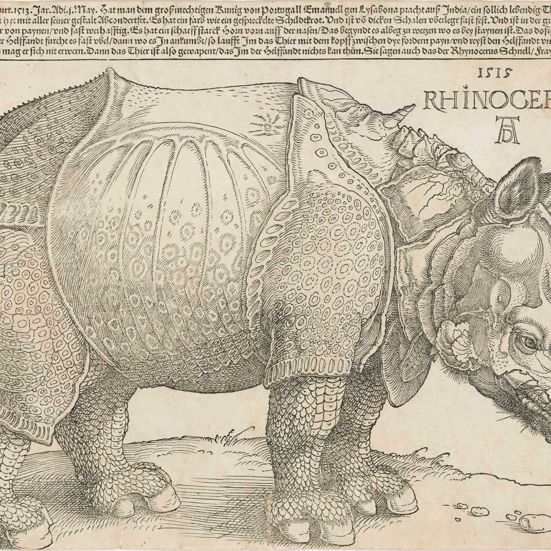 Albrecht Dürer — Носорог
