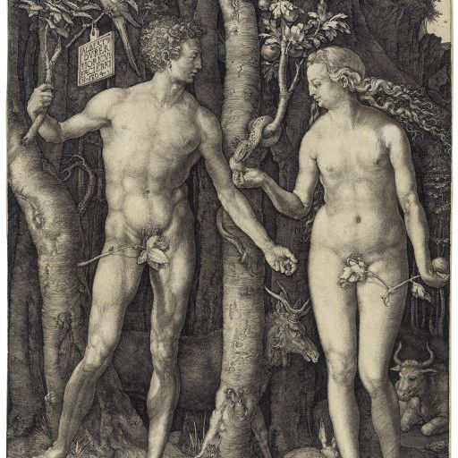 Albrecht Dürer — Адам и Ева (бакалавриат, магистратура, Зал. 1; С.М.С. 39)