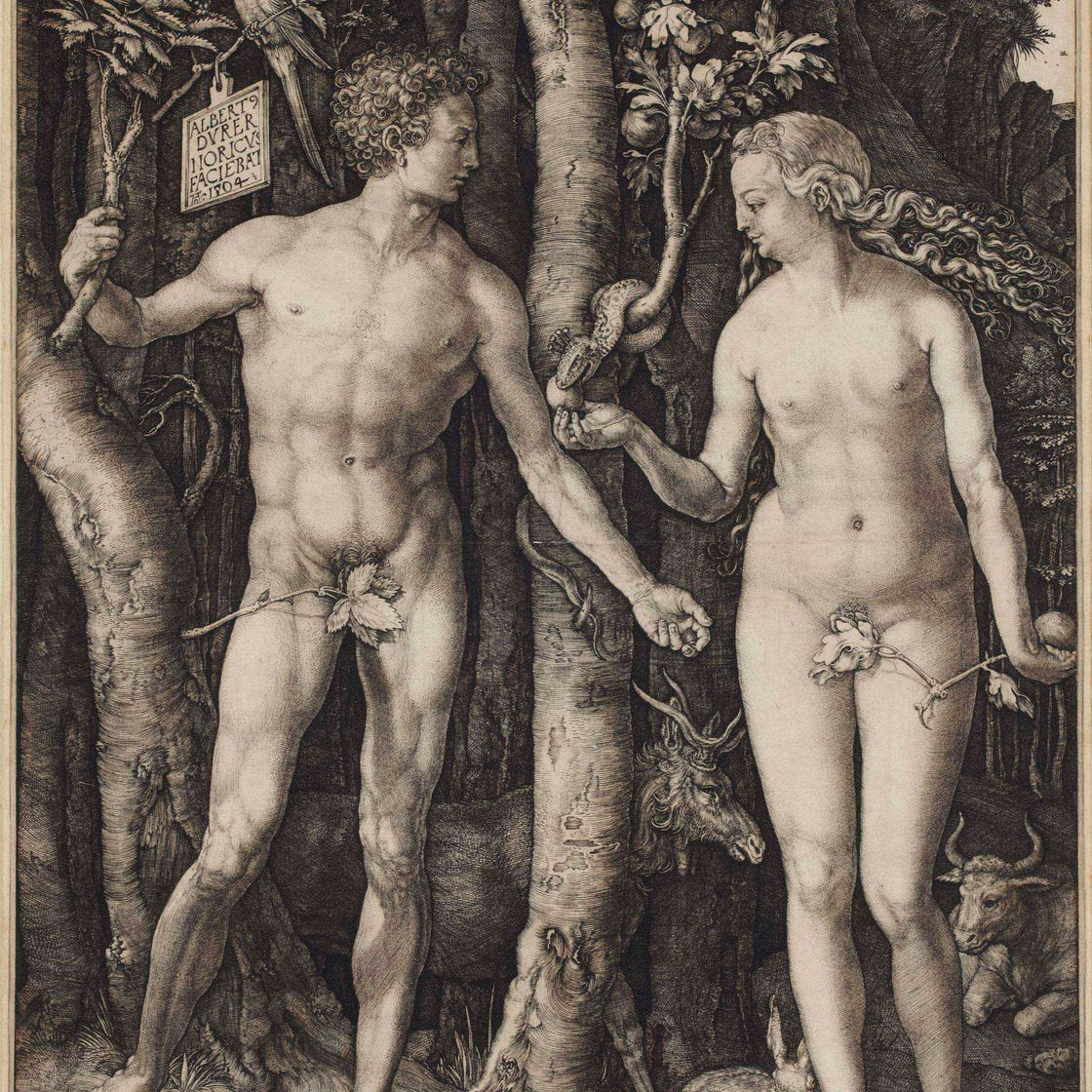 Albrecht Dürer — Адам и Ева (бакалавриат, магистратура, Зал. 1; С.М.С. 39)