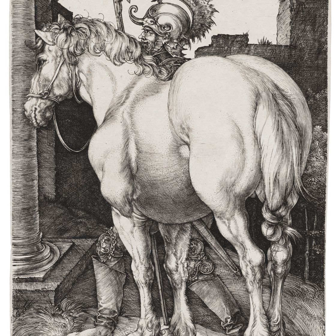 Albrecht Dürer — Большая лошадь