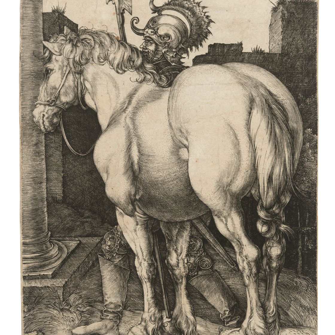 Albrecht Dürer — Большая лошадь