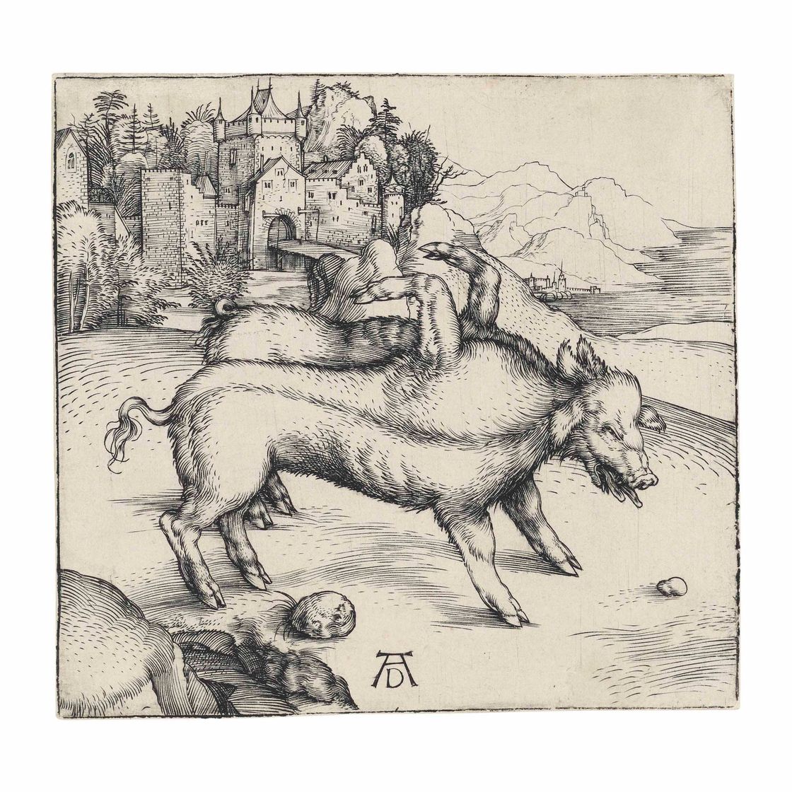 Albrecht Dürer — Чудовищная свиноматка Ландсера