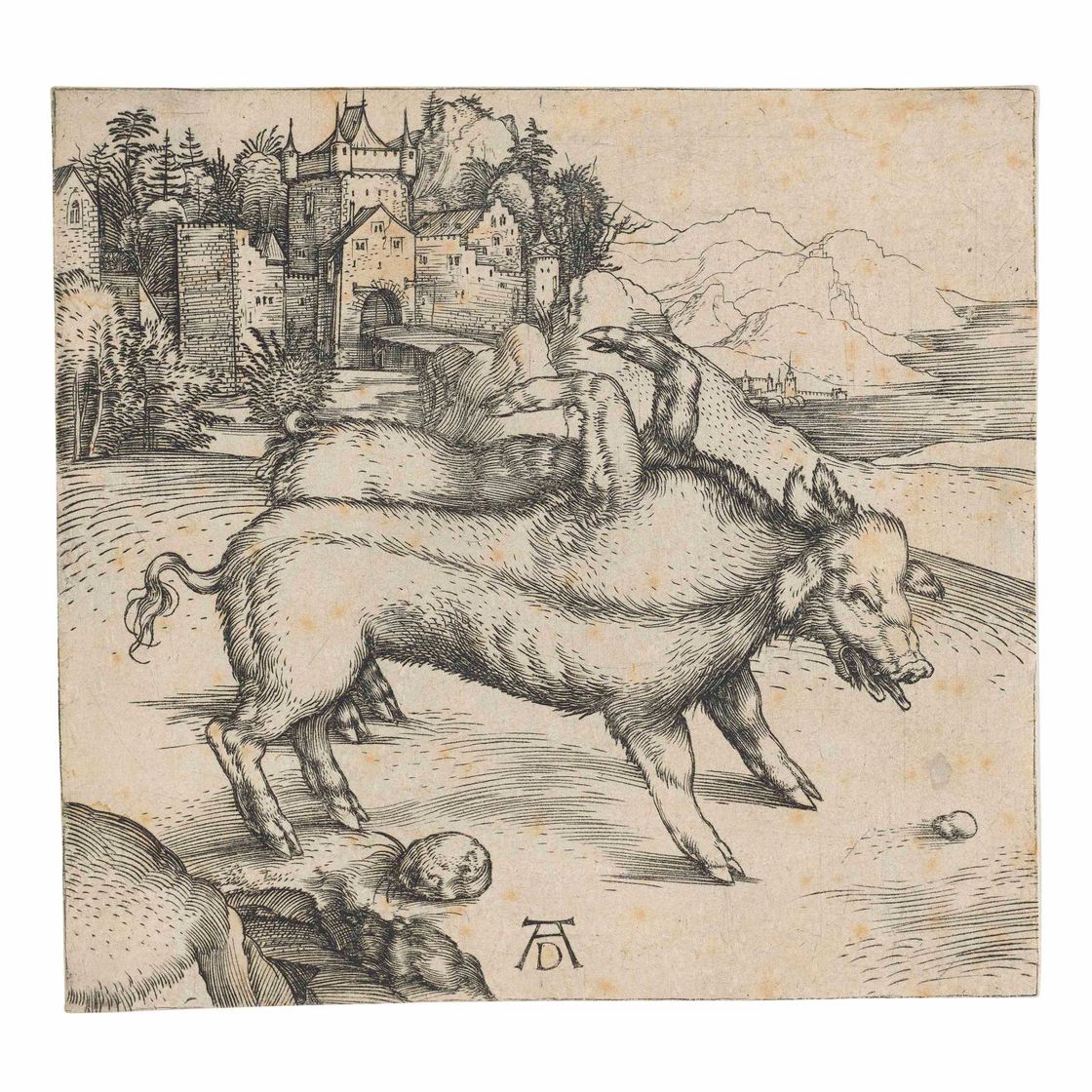 Albrecht Dürer — Чудовищная свиноматка Ландсера