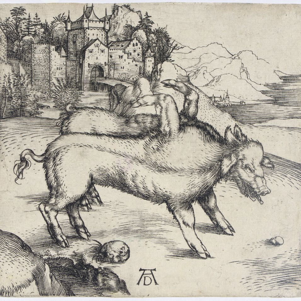 Albrecht Dürer — Чудовищная свинья Ландсера (Б. 95; М., Холл. 82; С.М.С. 8)