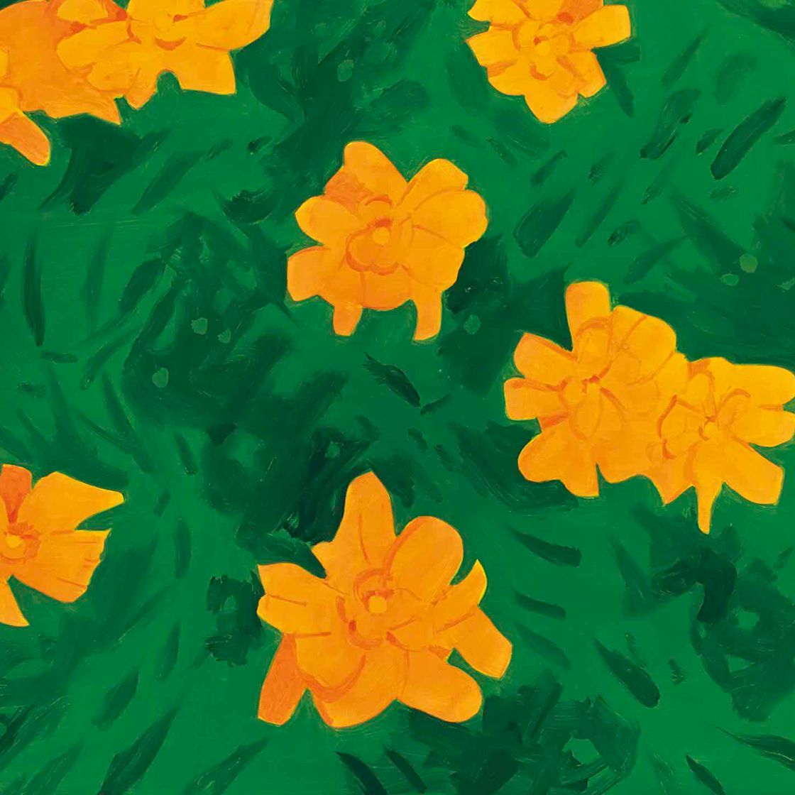 Alex Katz — Бархатцы