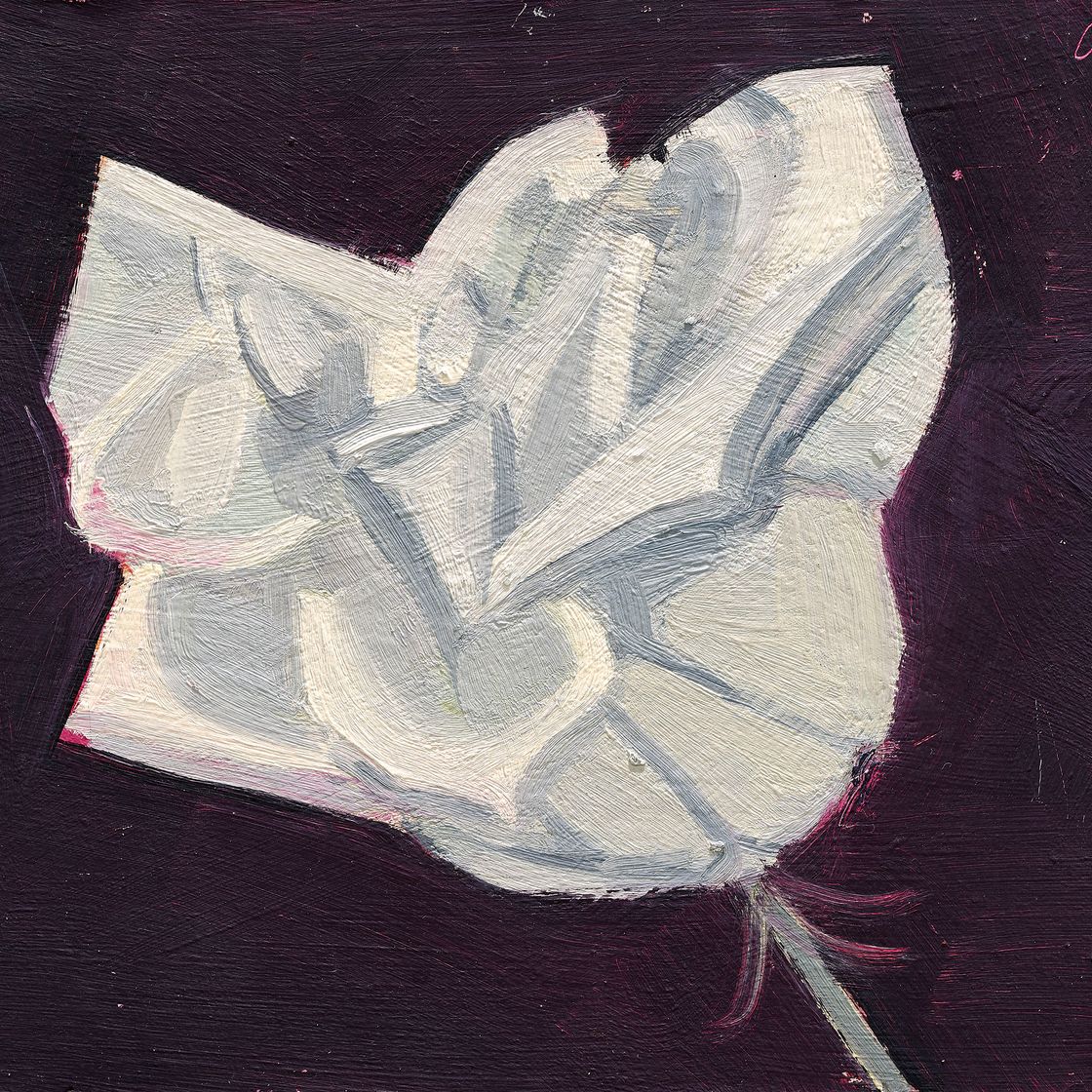 Alex Katz — Белая роза