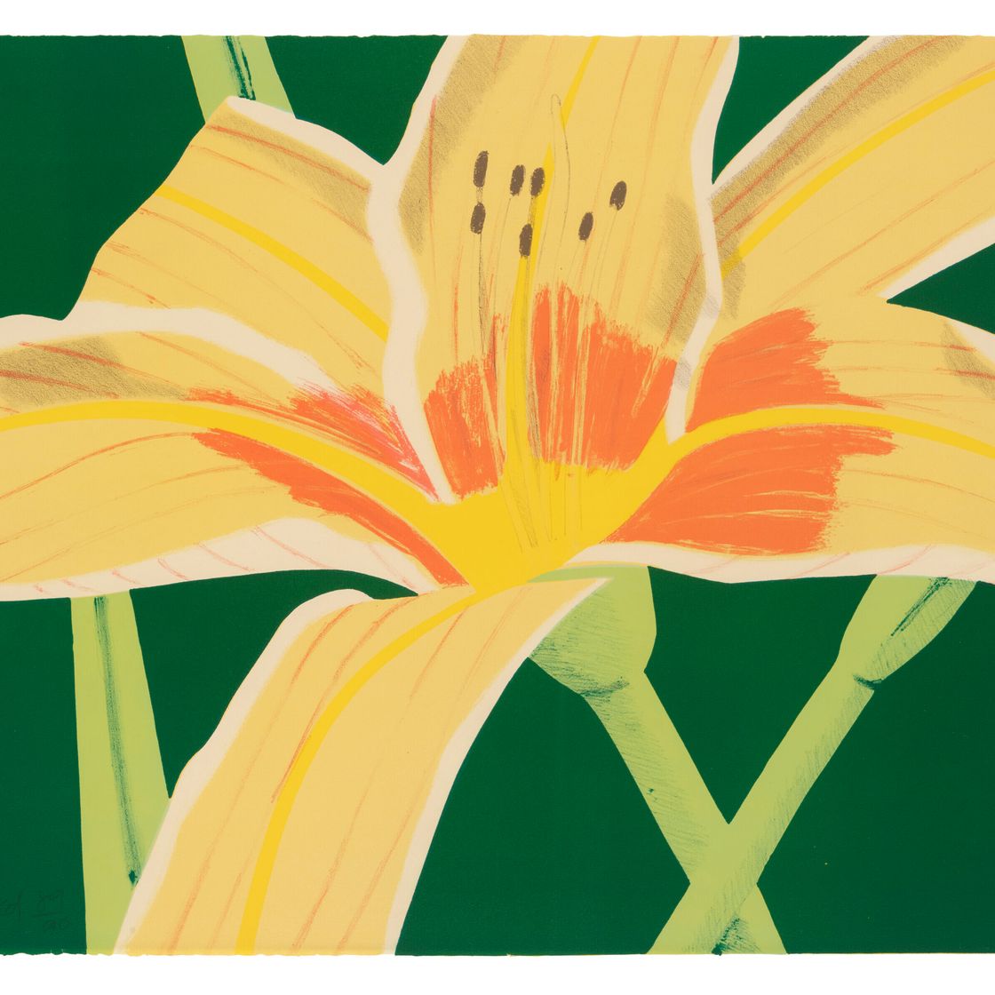 Alex Katz — Дневная лилия I