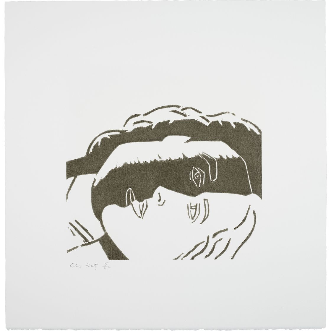 Alex Katz — Дрожь по утрам, изображение 11