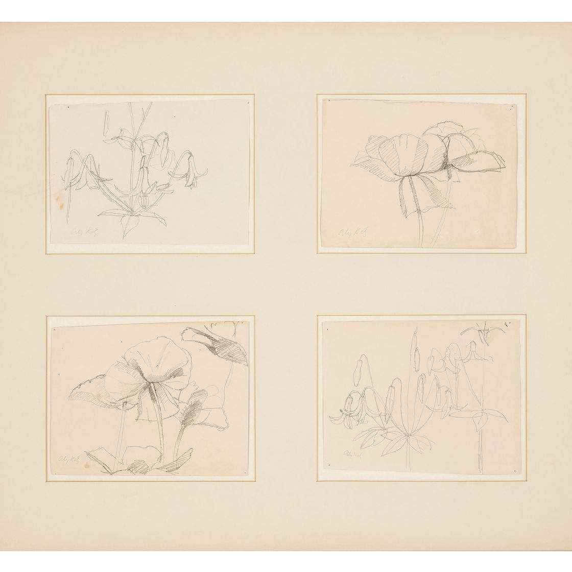 Alex Katz — Два исследования лилейников и два исследования первоцветов