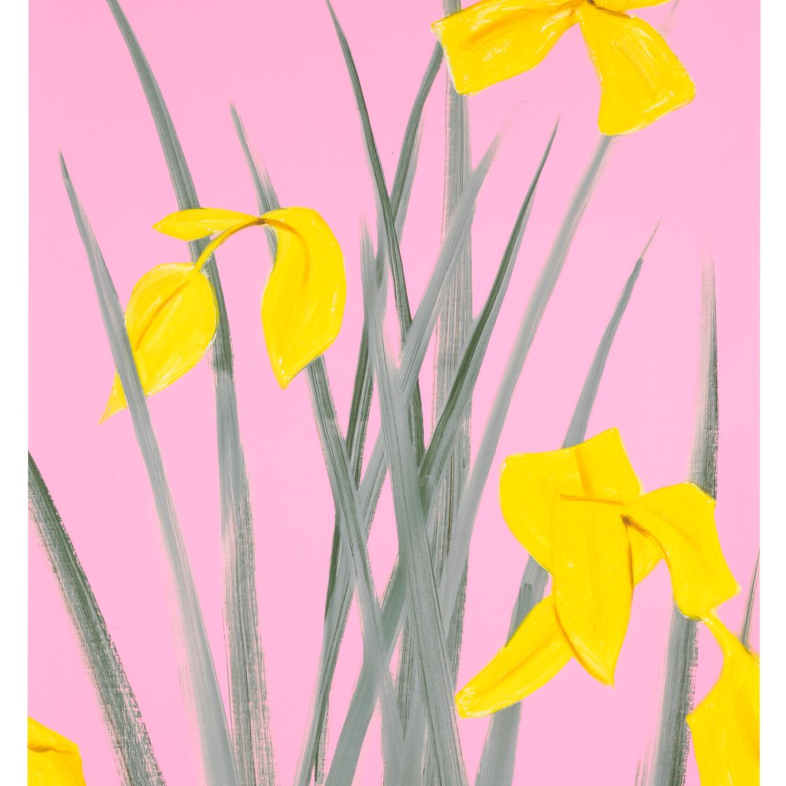 Alex Katz — АЛЕКС КАЦ (р. 1927)
