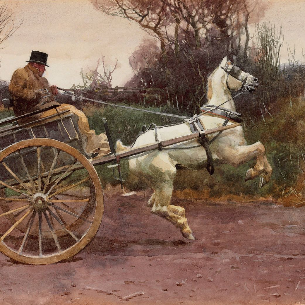 Alfred James Munnings — Резвый пони