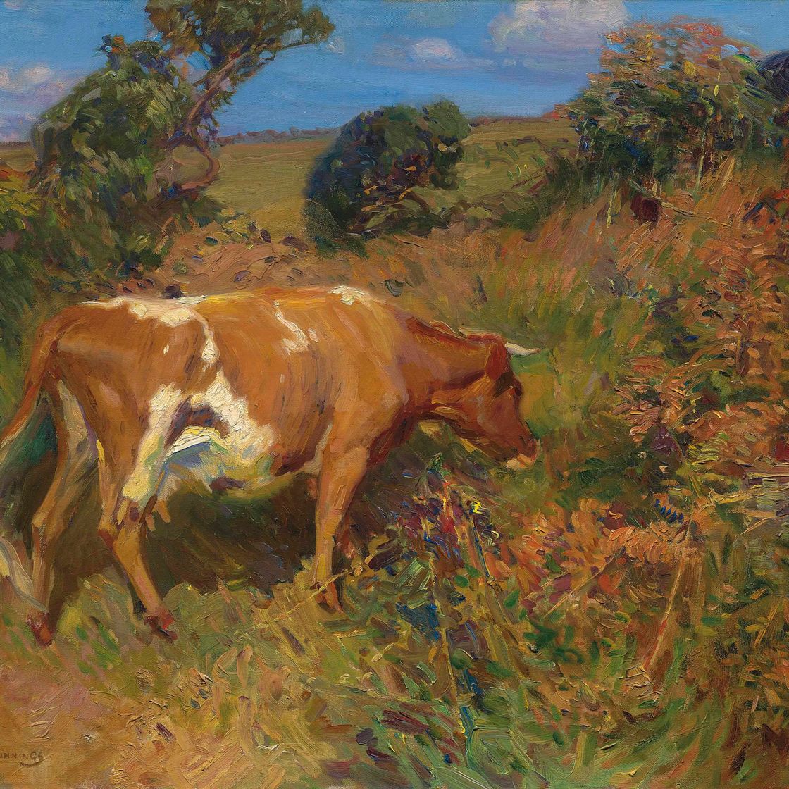 Alfred James Munnings — Корова на фоне пейзажа