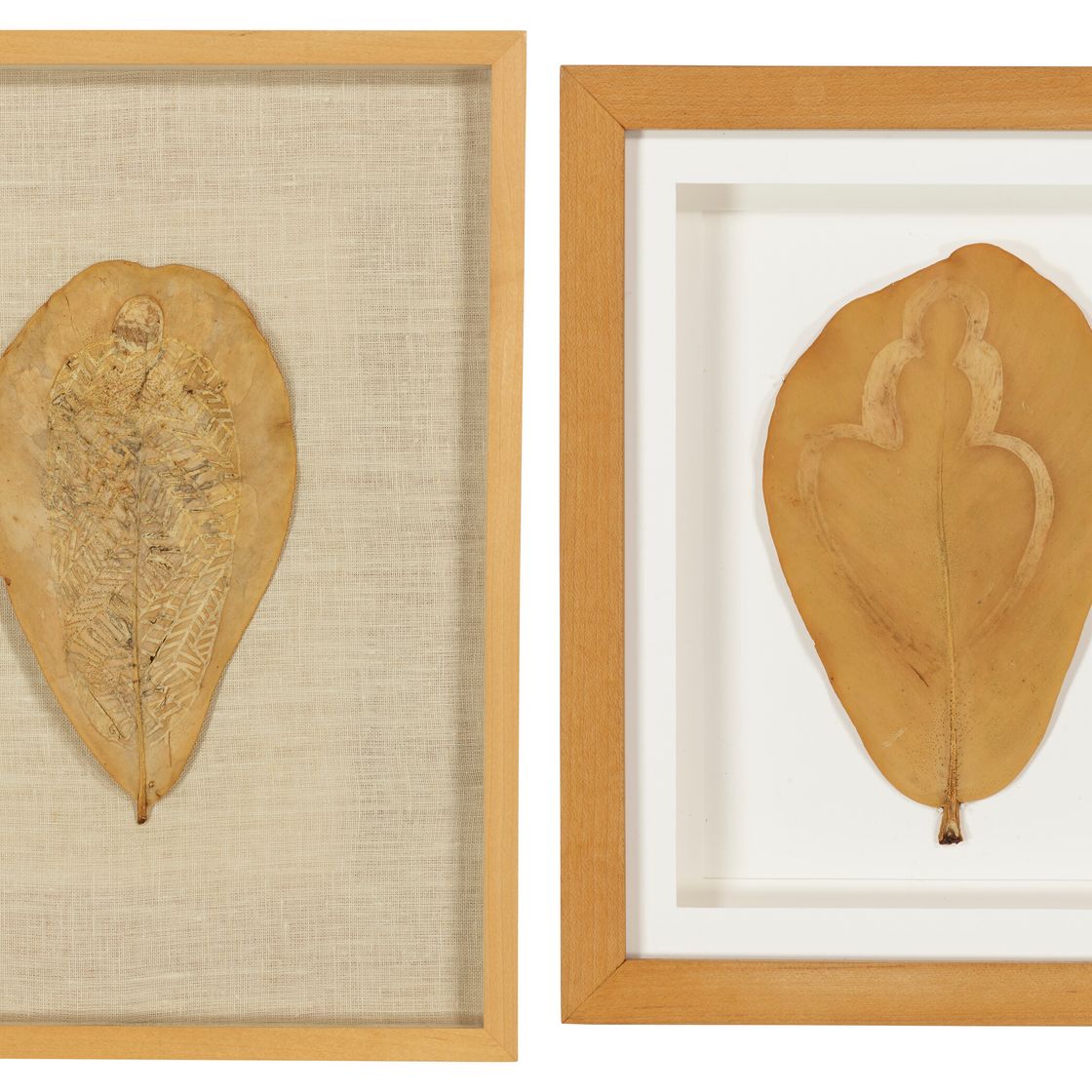 Ana Mendieta — Без названия (Рисунки на листьях) [Две работы], изображение 1