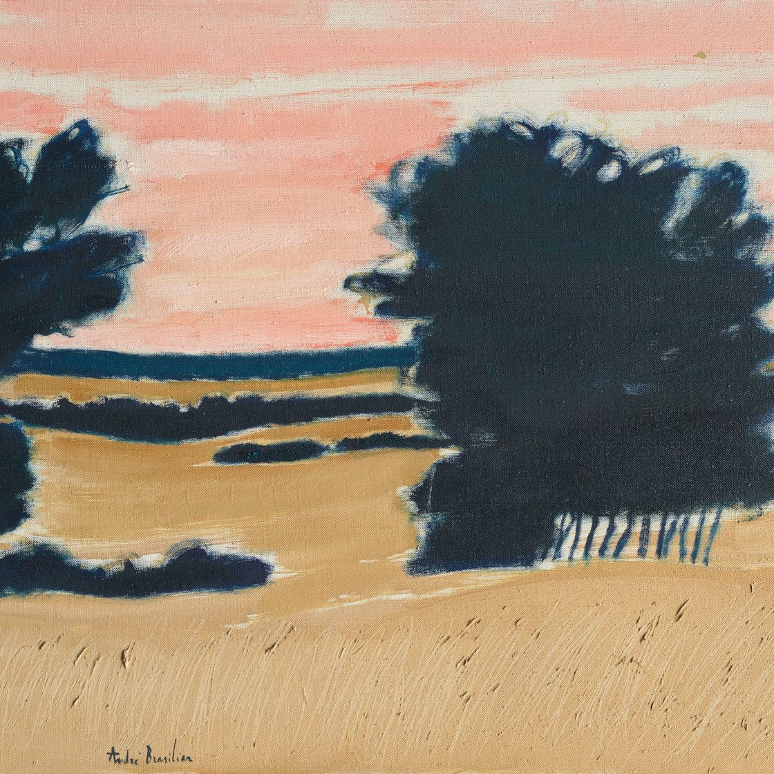André Brasilier — Гармония вечера