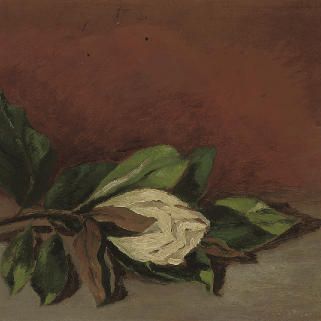André Derain — Магнолия