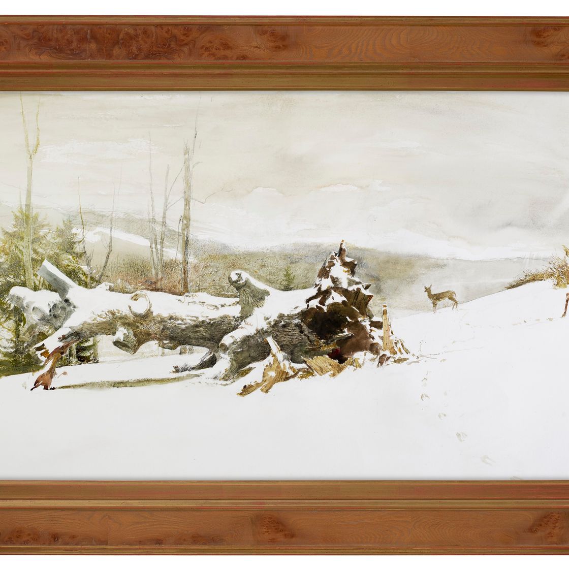 Andrew Wyeth — Треков, изображение 2