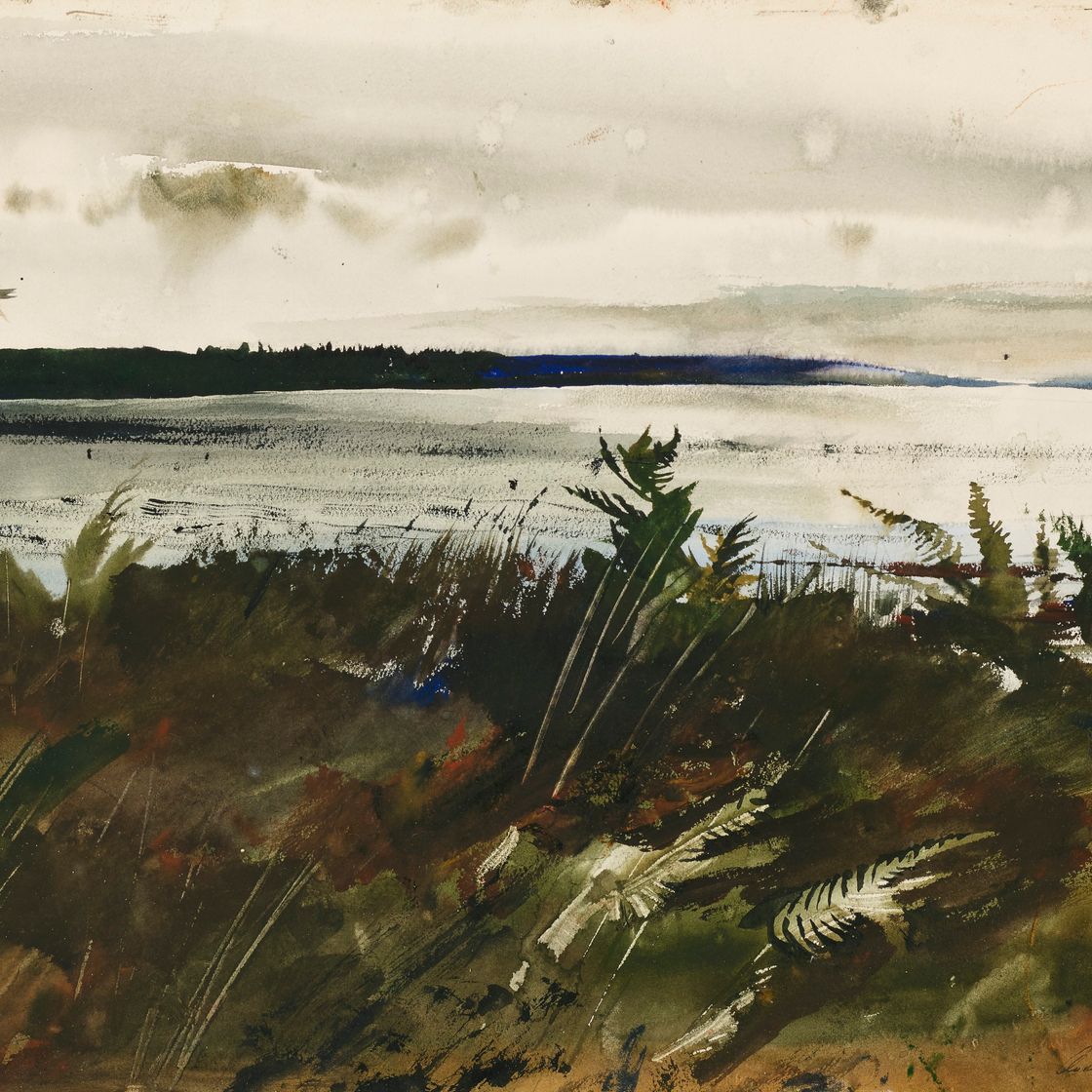 Andrew Wyeth — Одинокая чайка, изображение 1