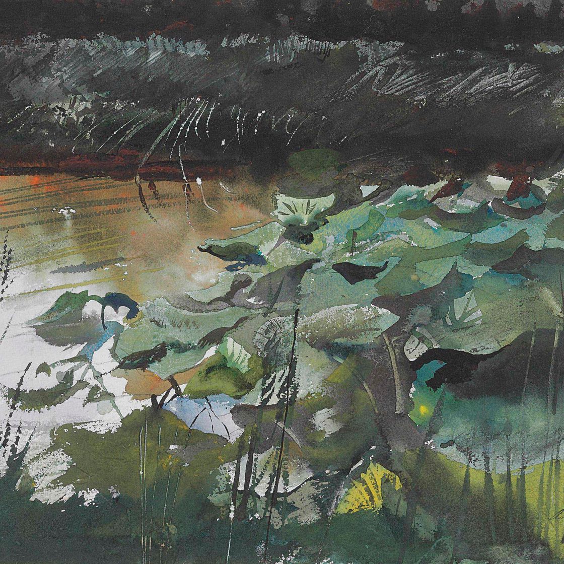 Andrew Wyeth — Лепестки лилий