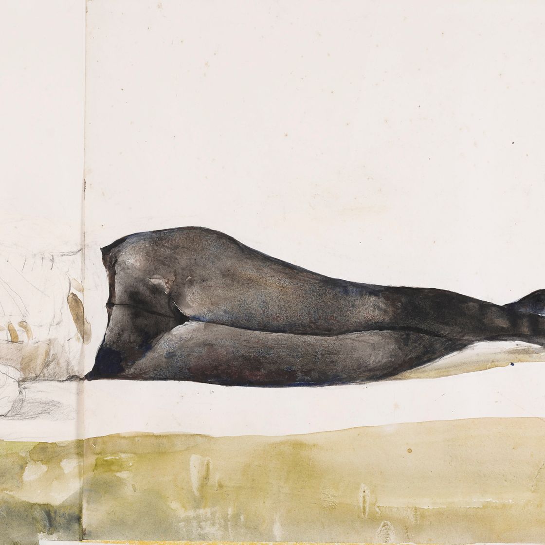 Andrew Wyeth — Готовьтесь к "Отдыху красоты"