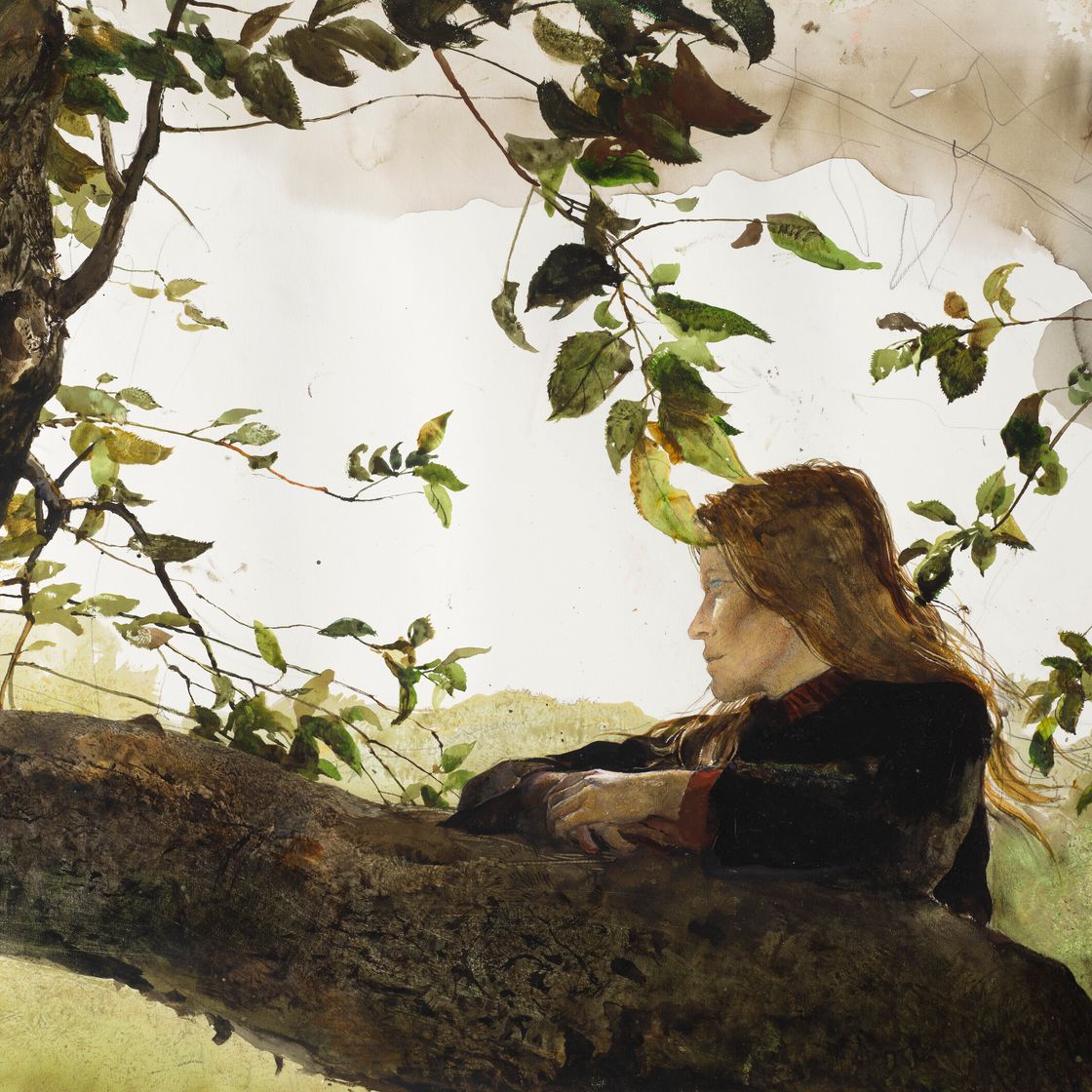 Andrew Wyeth — В саду, изображение 1