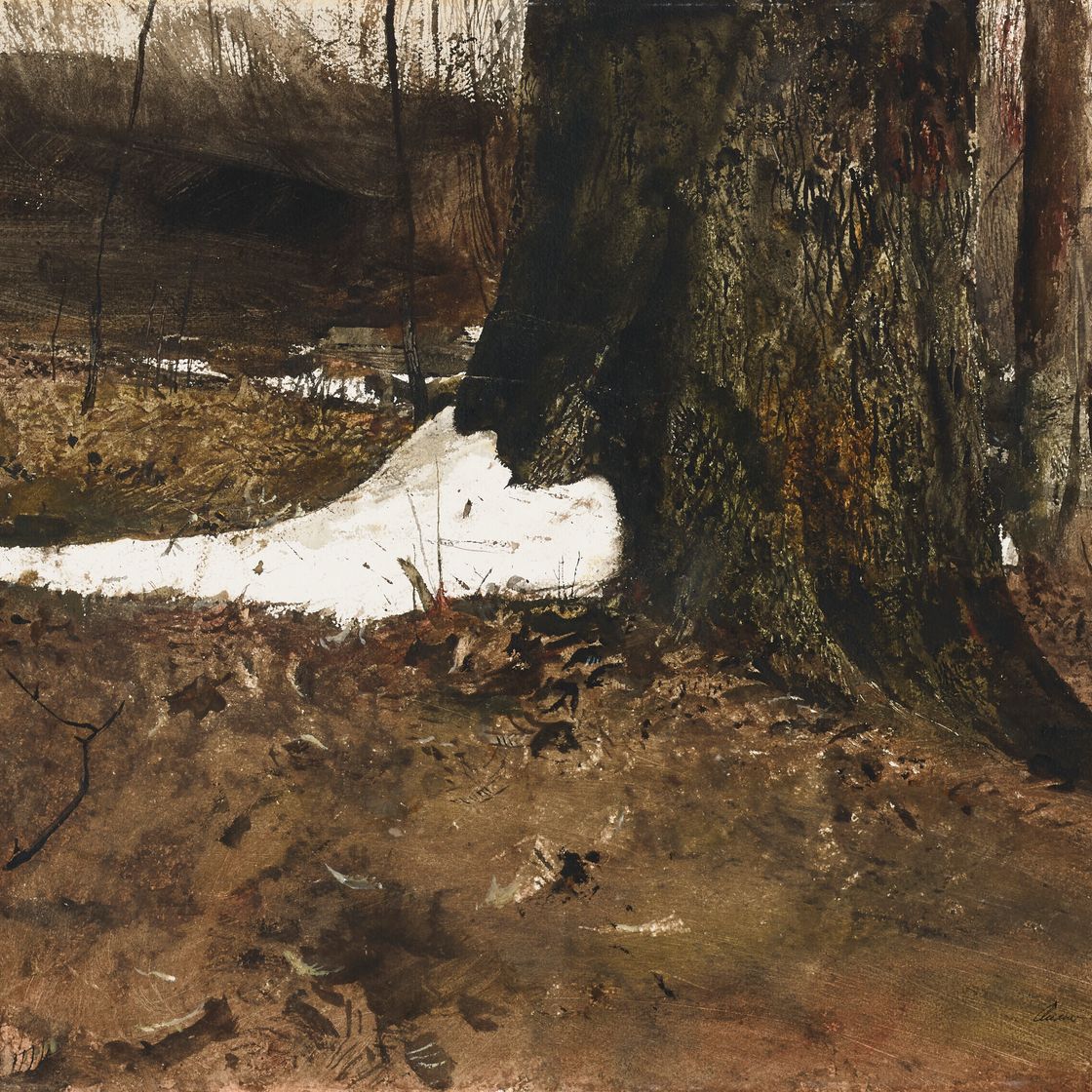 Andrew Wyeth — Снегоступы, изображение 1