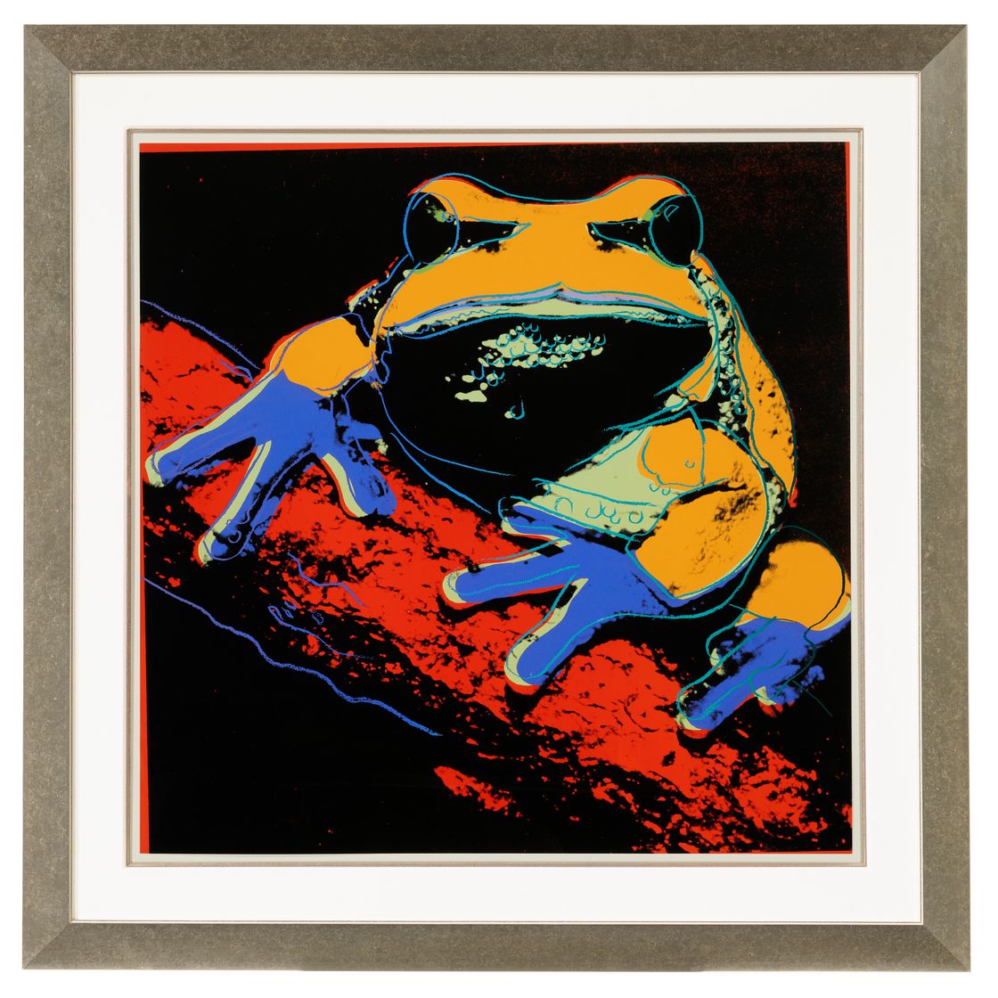 Andy Warhol — Древесная лягушка из сосновых пустошей, относящаяся к исчезающему виду, изображение 2