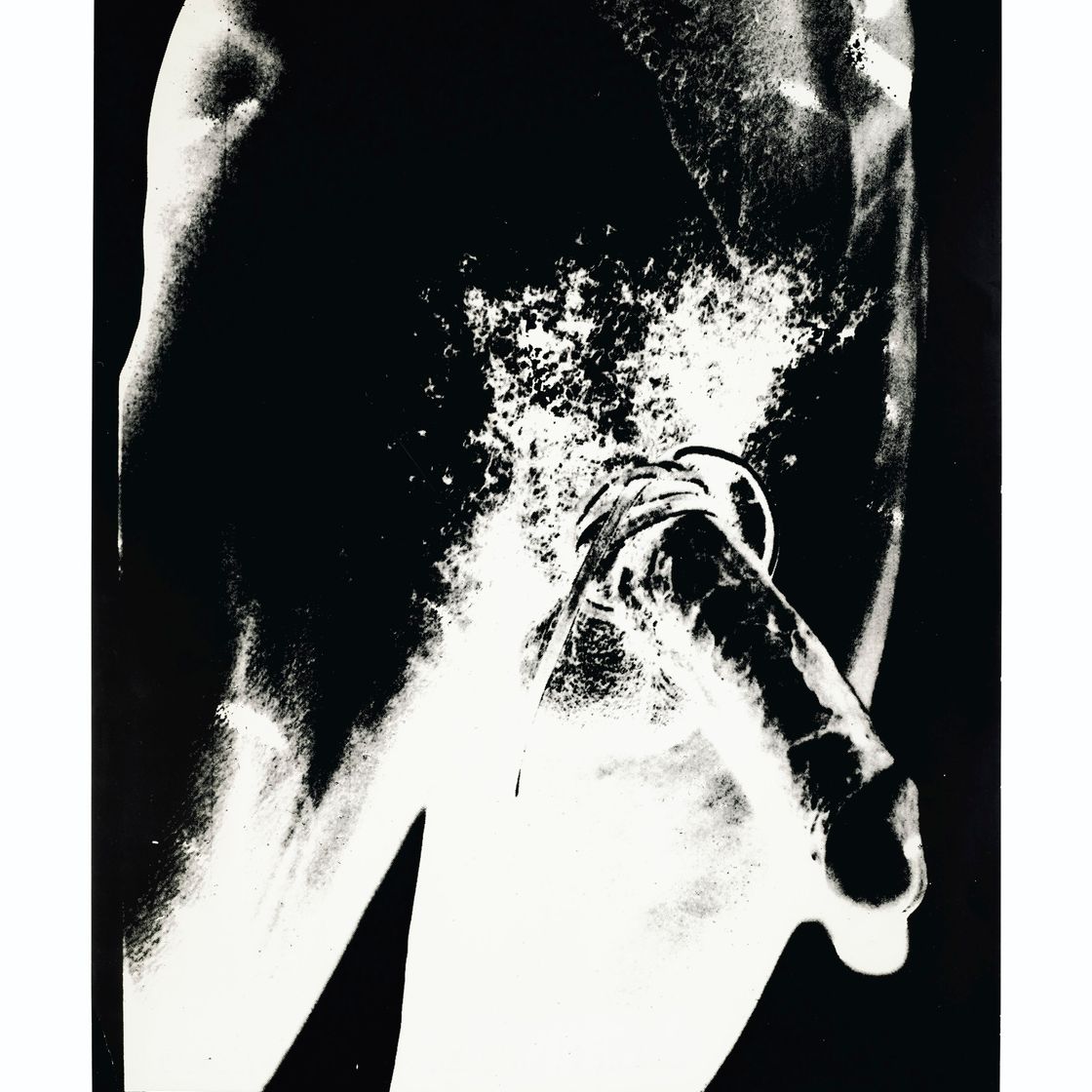 Andy Warhol — Туловище