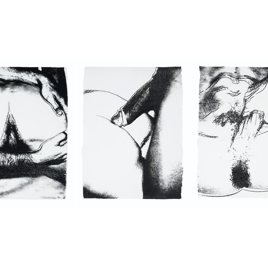 Andy Warhol — Половые органы : три отпечатка, изображение 1