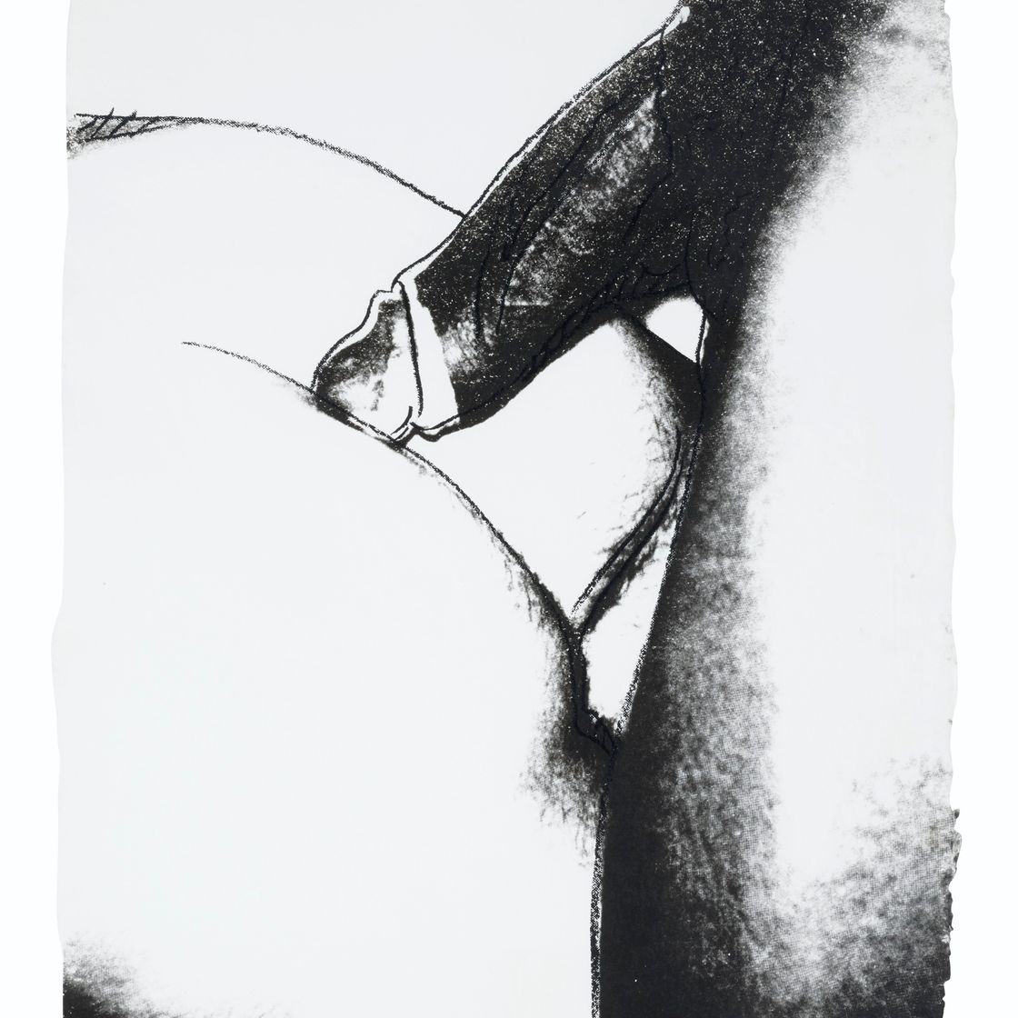 Andy Warhol — Половые органы : три отпечатка, изображение 4