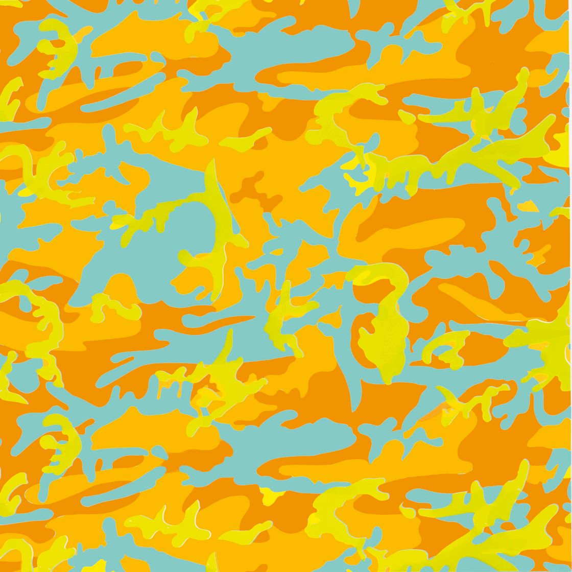 Andy Warhol — Камуфляж: одна пластина