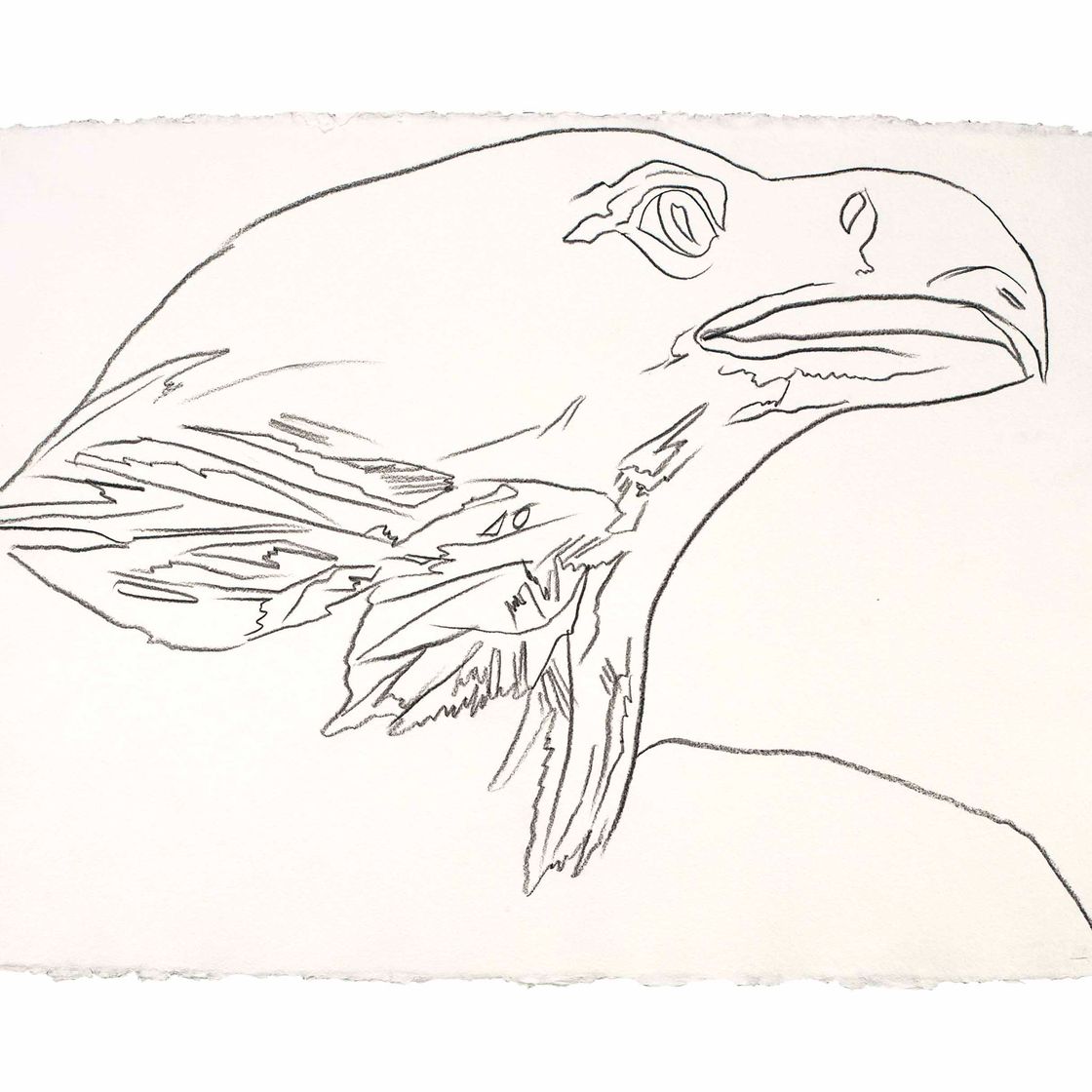 Andy Warhol — белоголовый орел