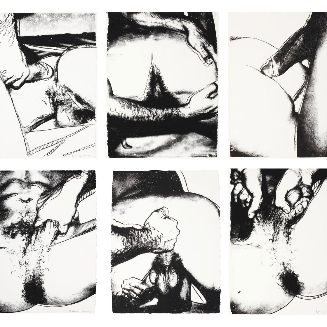 Andy Warhol — Половые органы (F. & S. II.172-177), изображение 1