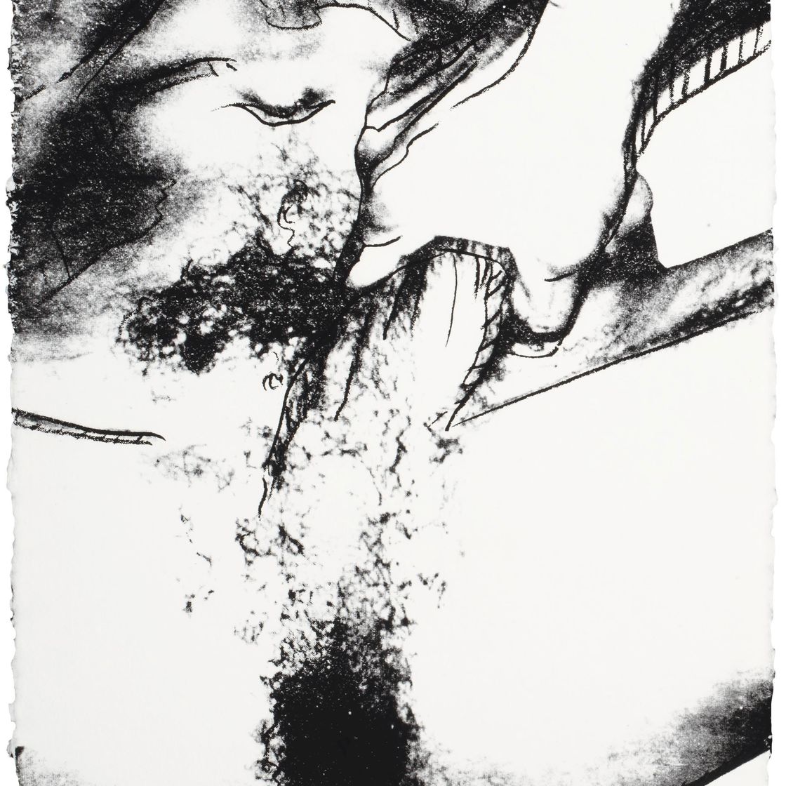 Andy Warhol — Половые органы (F. & S. II.172-177), изображение 2
