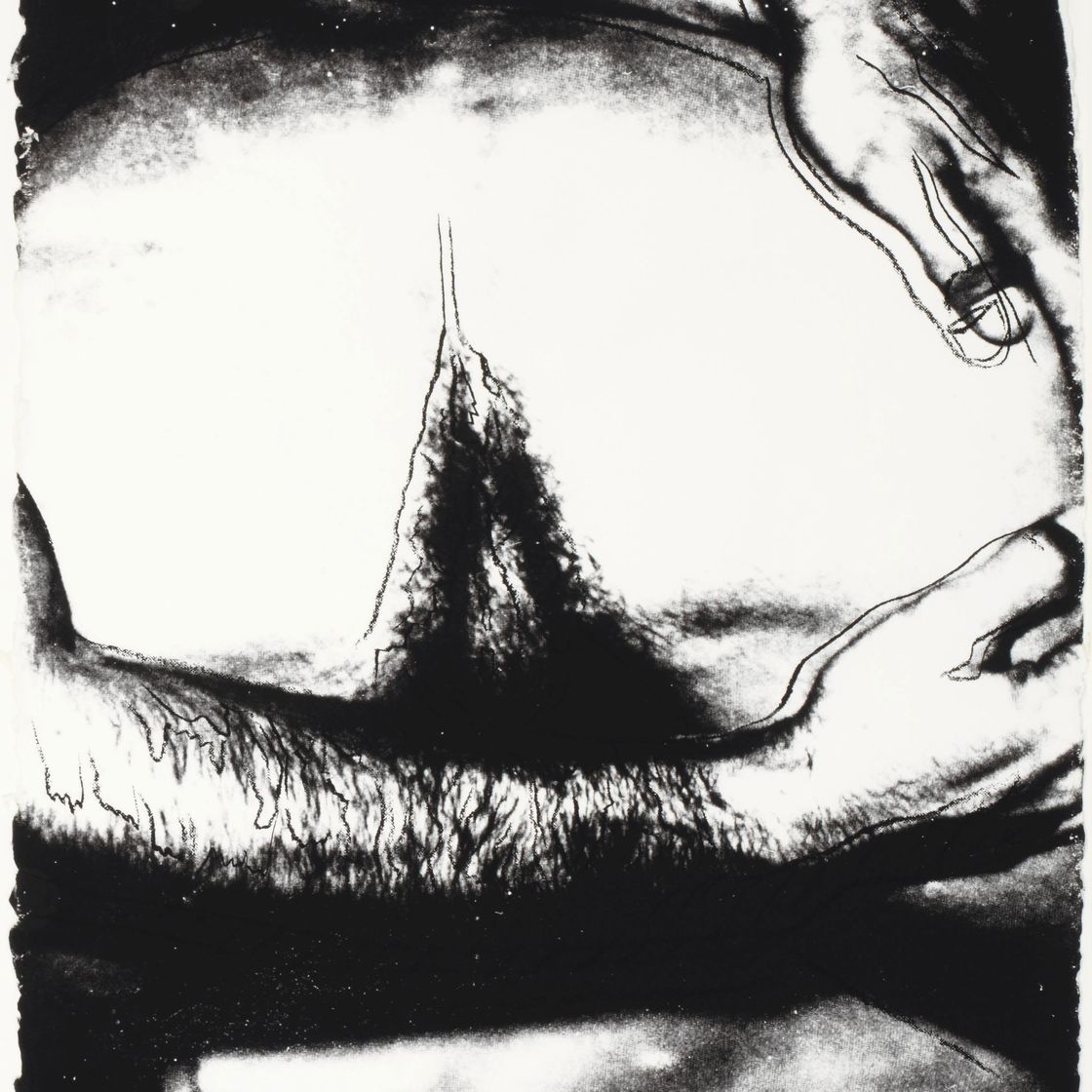 Andy Warhol — Половые органы (F. & S. II.172-177), изображение 4