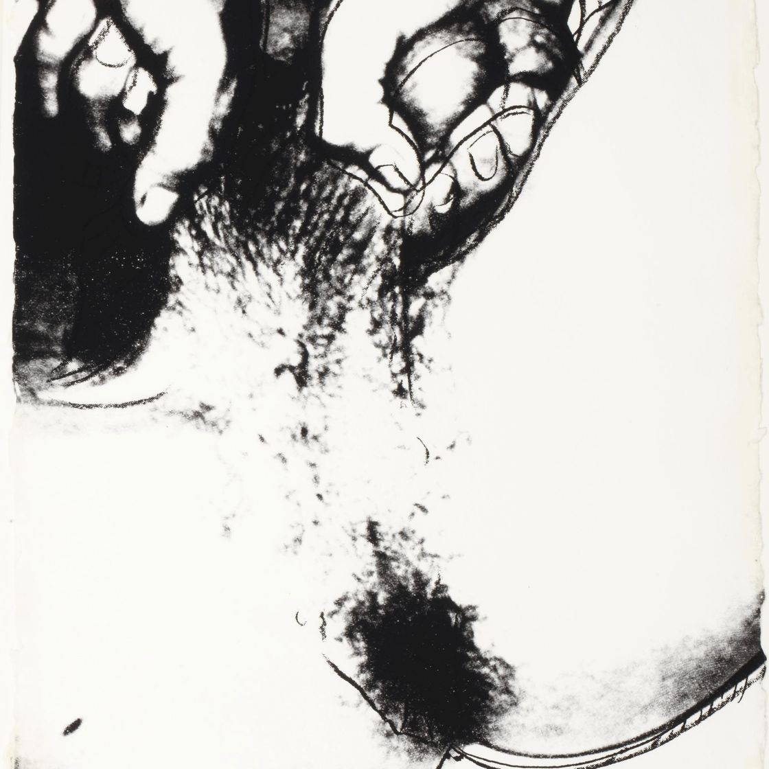 Andy Warhol — Половые органы (F. & S. II.172-177), изображение 5