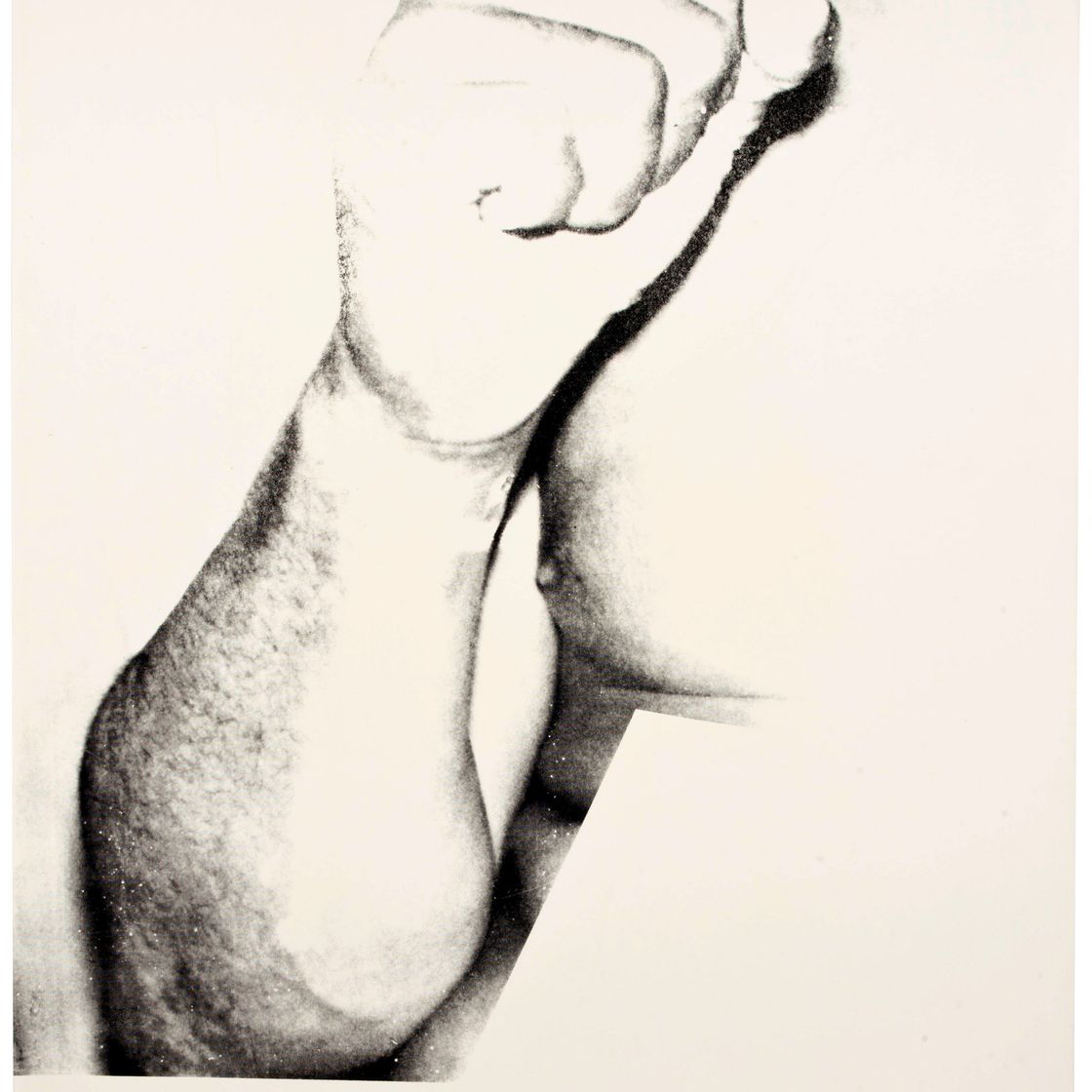 Andy Warhol — Мухаммед Али (см. F. & S. II.181)
