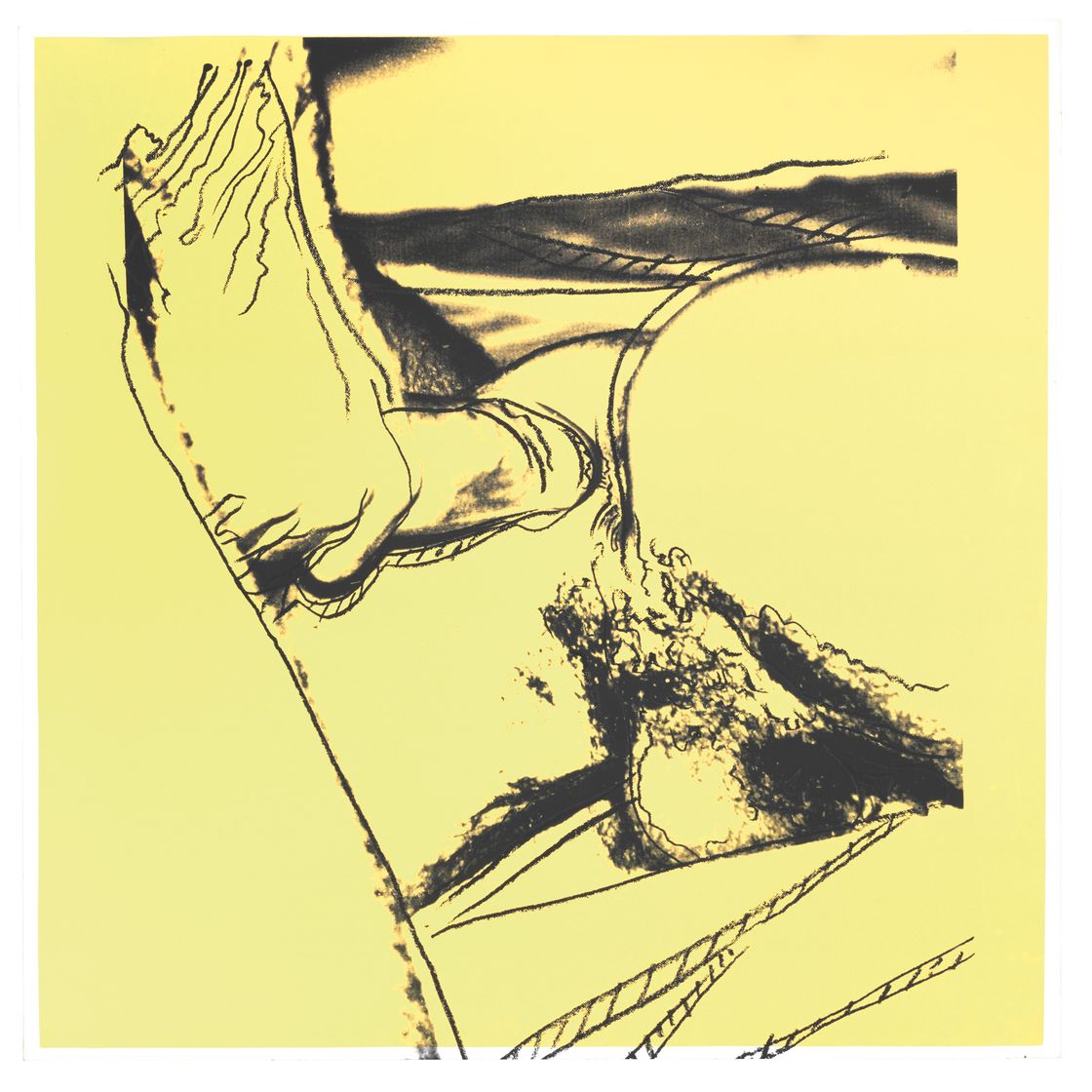 Andy Warhol — Половые органы: одна пластина (см. F. & S. II.172)