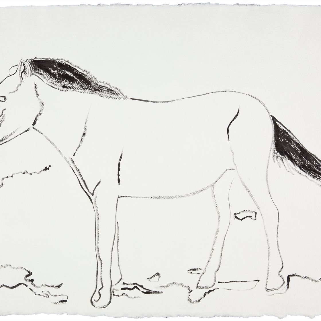 Andy Warhol — Монгольская дикая лошадь, исследование исчезающих животных