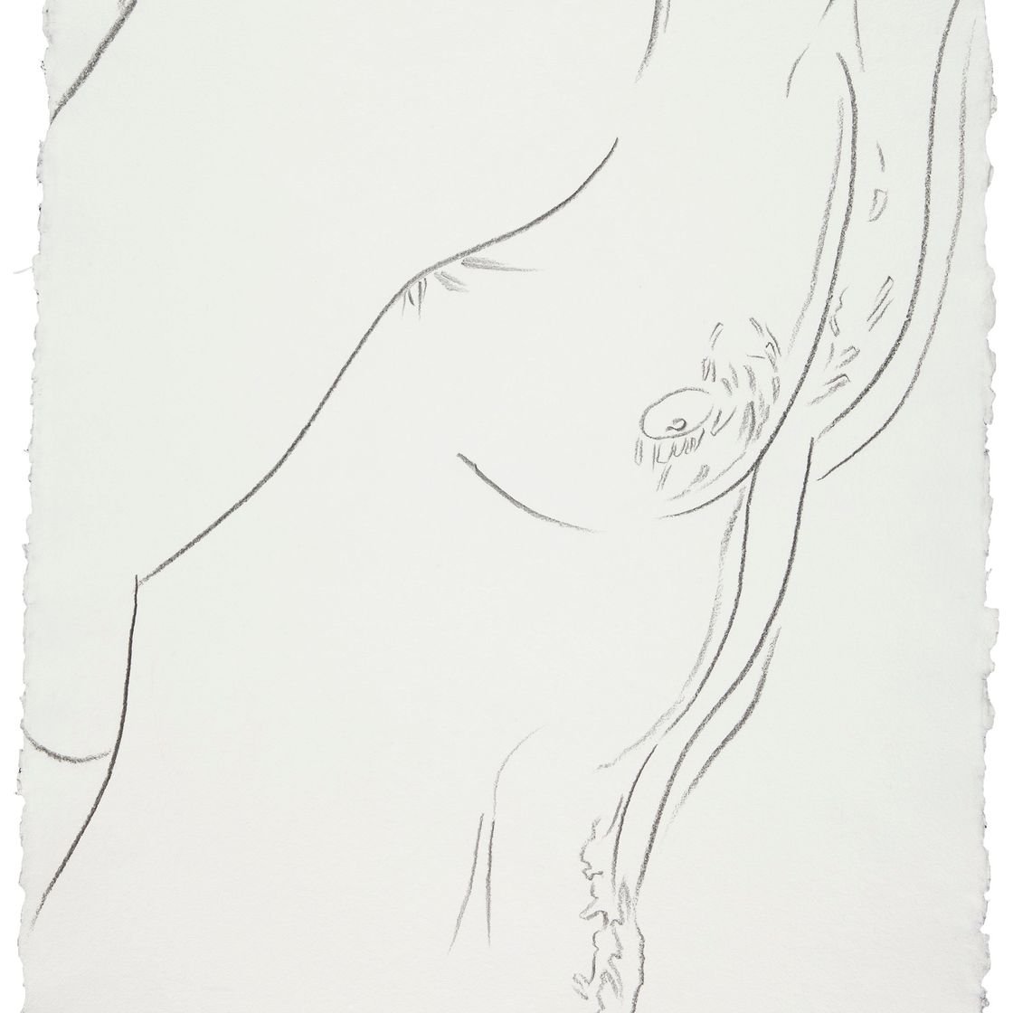 Andy Warhol — Туловище