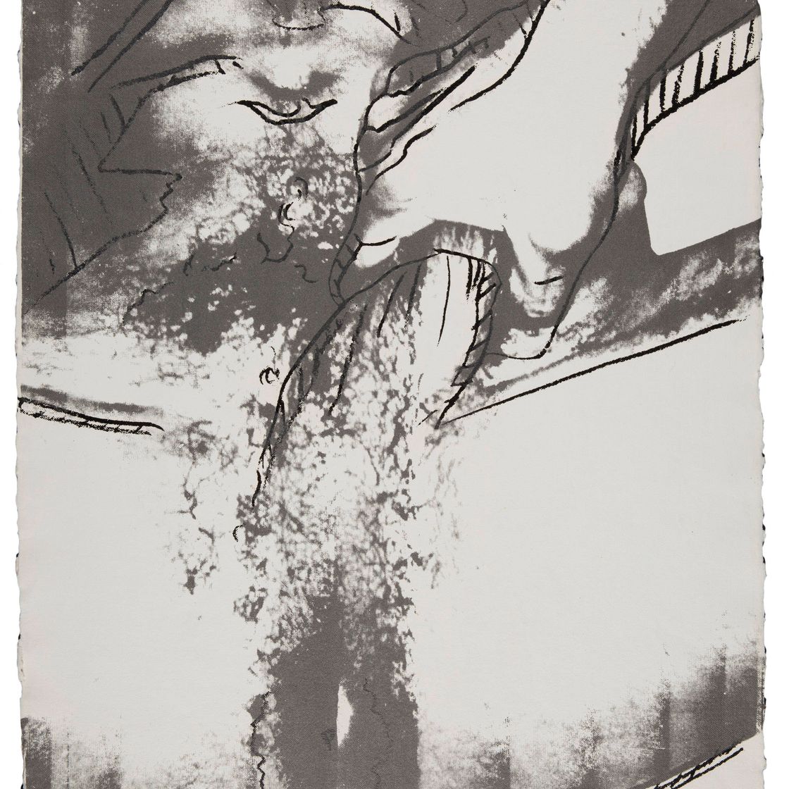 Andy Warhol — Половые органы (F. & S. II.177)
